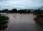 Barranc Pas a Nivell cami Torrent+.jpg