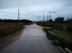 Cami Torrent-2.jpg