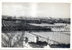 Aigües Potables_Vista Picassent_Gener1960.jpg