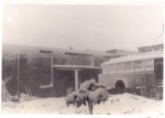escanear0011.jpg