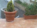 Foto de Joan Prim 